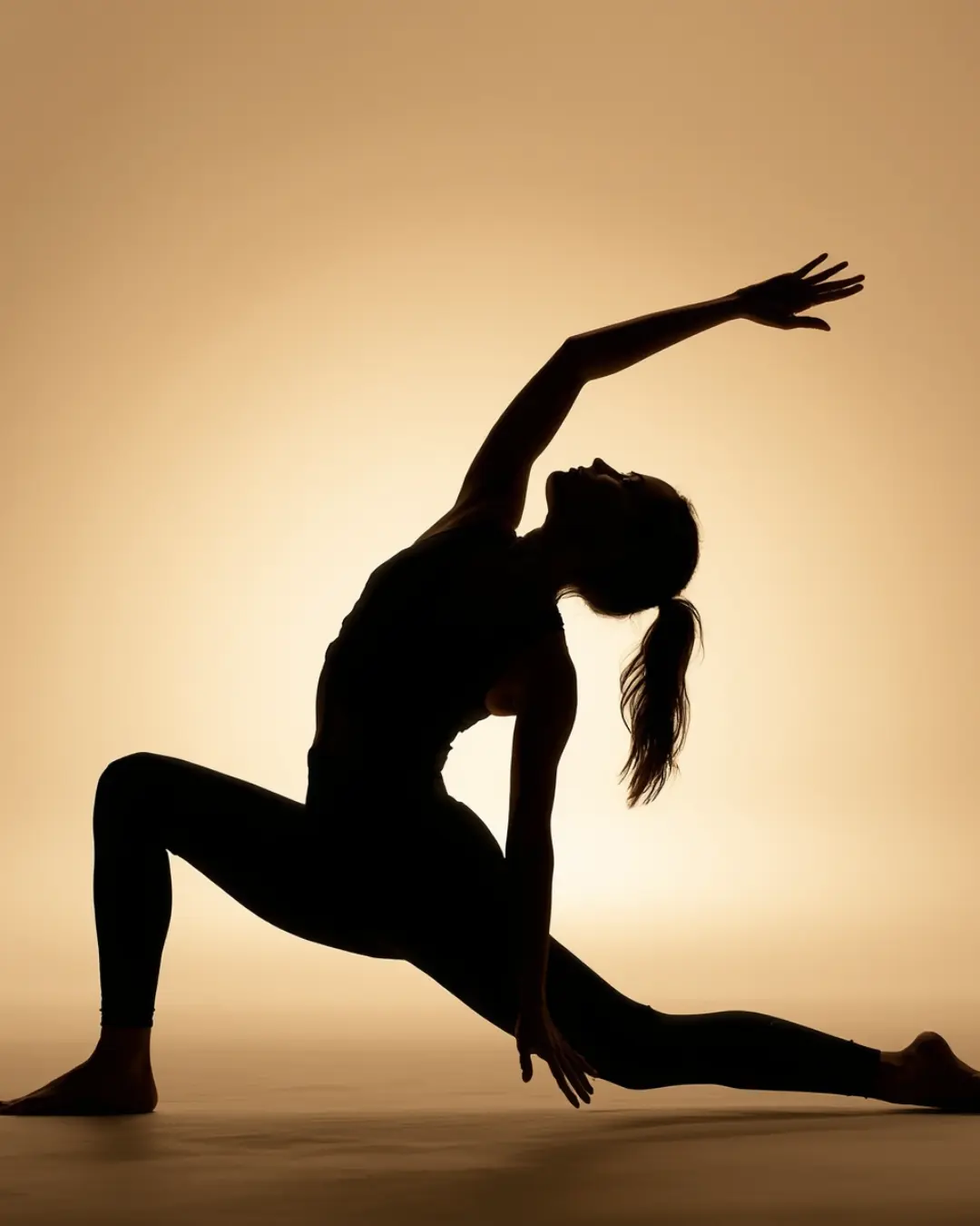 Yoga Integral
