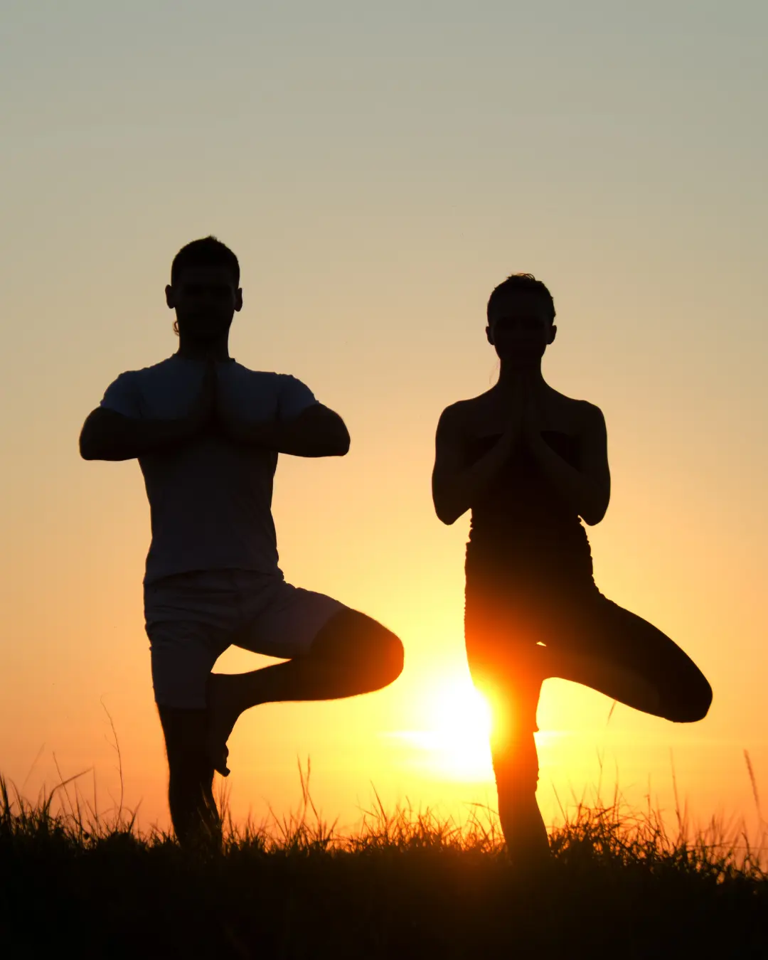 Tai Chi y Qi Gong